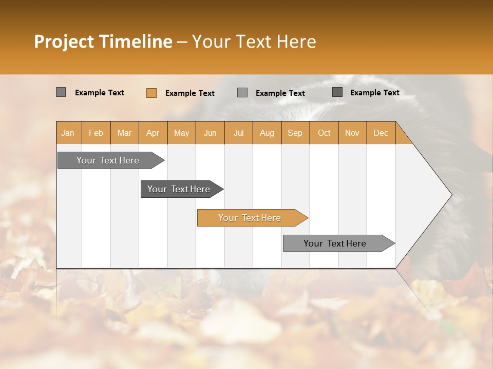 A Dog Laying On Top Of A Pile Of Leaves PowerPoint Template