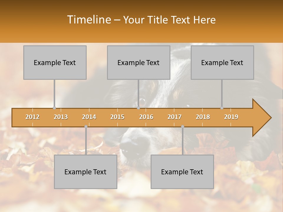 A Dog Laying On Top Of A Pile Of Leaves PowerPoint Template