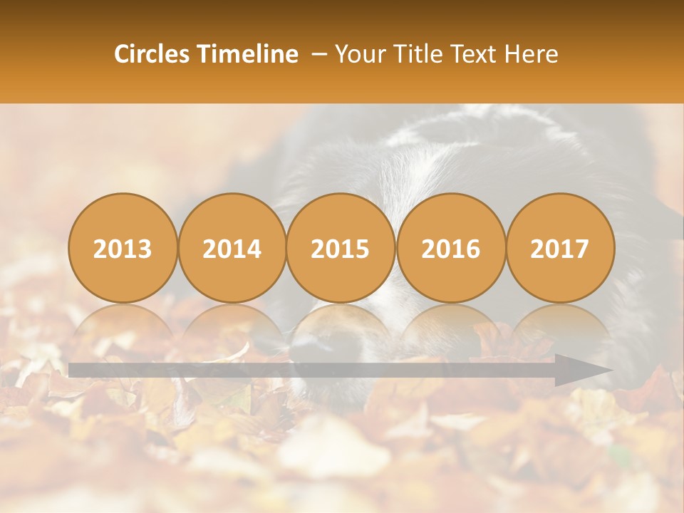 A Dog Laying On Top Of A Pile Of Leaves PowerPoint Template