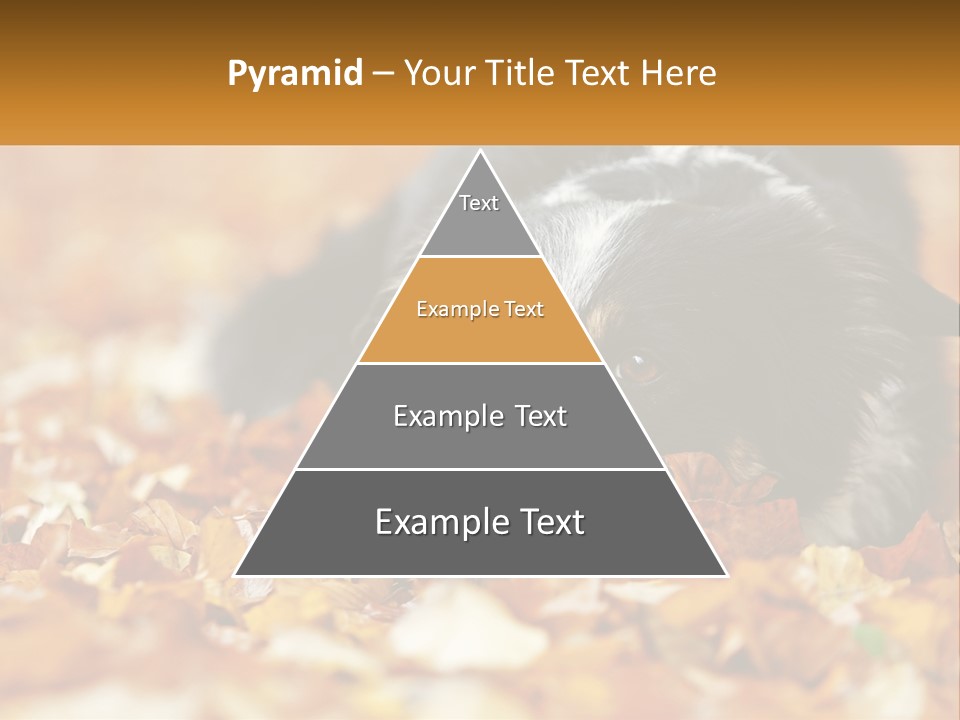 A Dog Laying On Top Of A Pile Of Leaves PowerPoint Template
