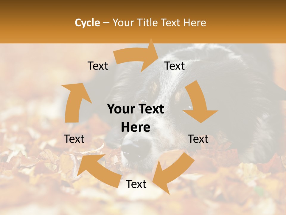 A Dog Laying On Top Of A Pile Of Leaves PowerPoint Template