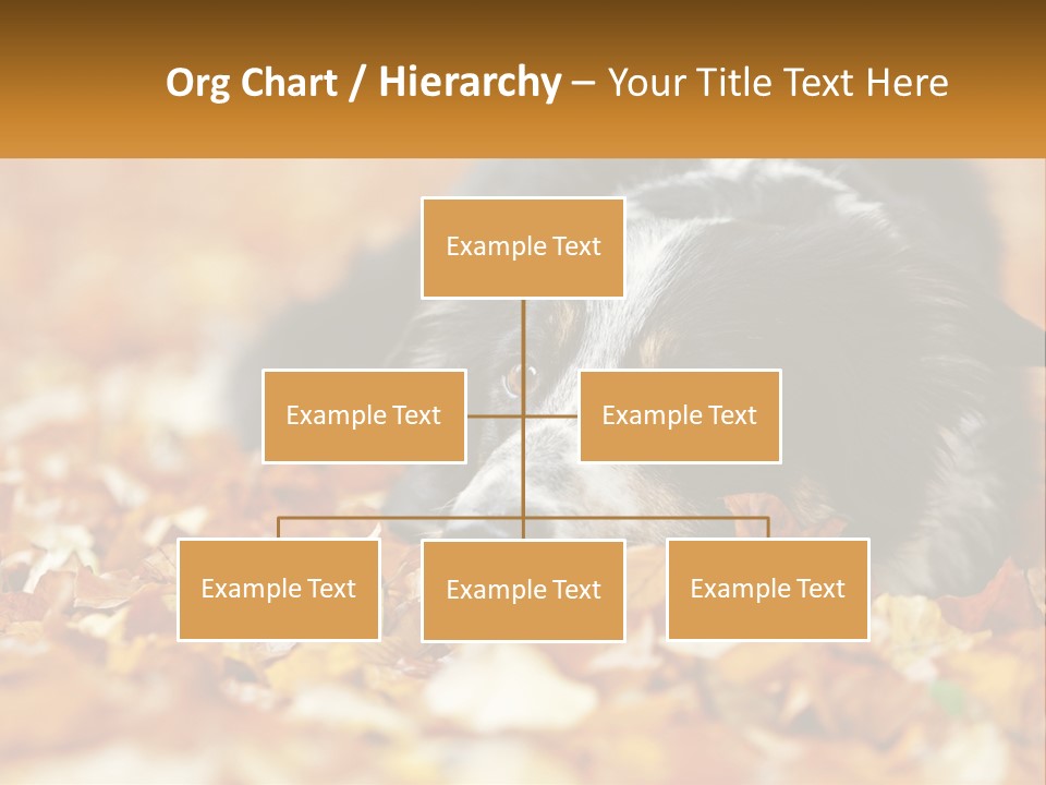 A Dog Laying On Top Of A Pile Of Leaves PowerPoint Template