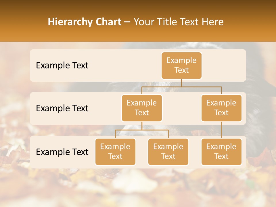 A Dog Laying On Top Of A Pile Of Leaves PowerPoint Template