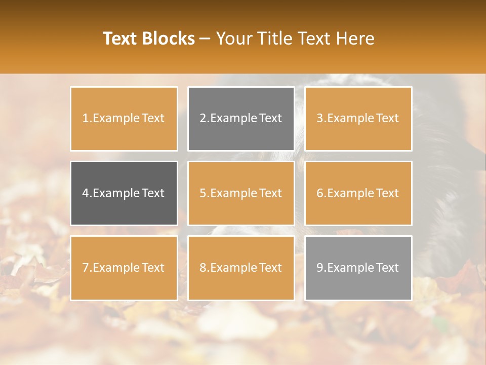A Dog Laying On Top Of A Pile Of Leaves PowerPoint Template