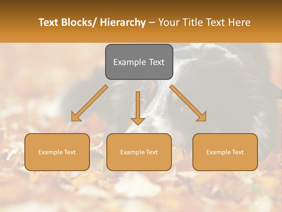 A Dog Laying On Top Of A Pile Of Leaves PowerPoint Template