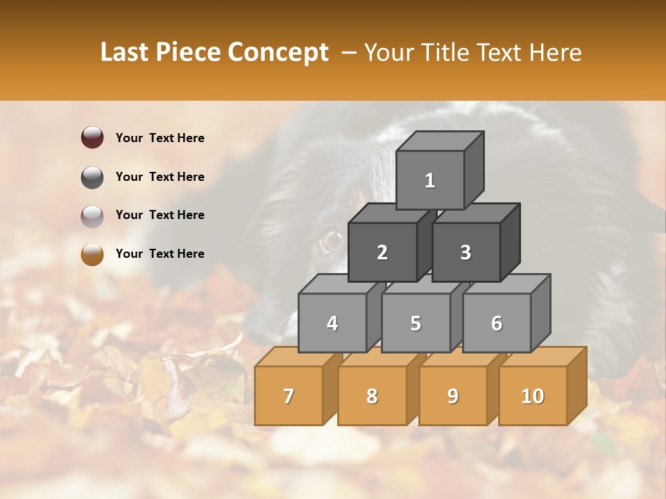 A Dog Laying On Top Of A Pile Of Leaves PowerPoint Template