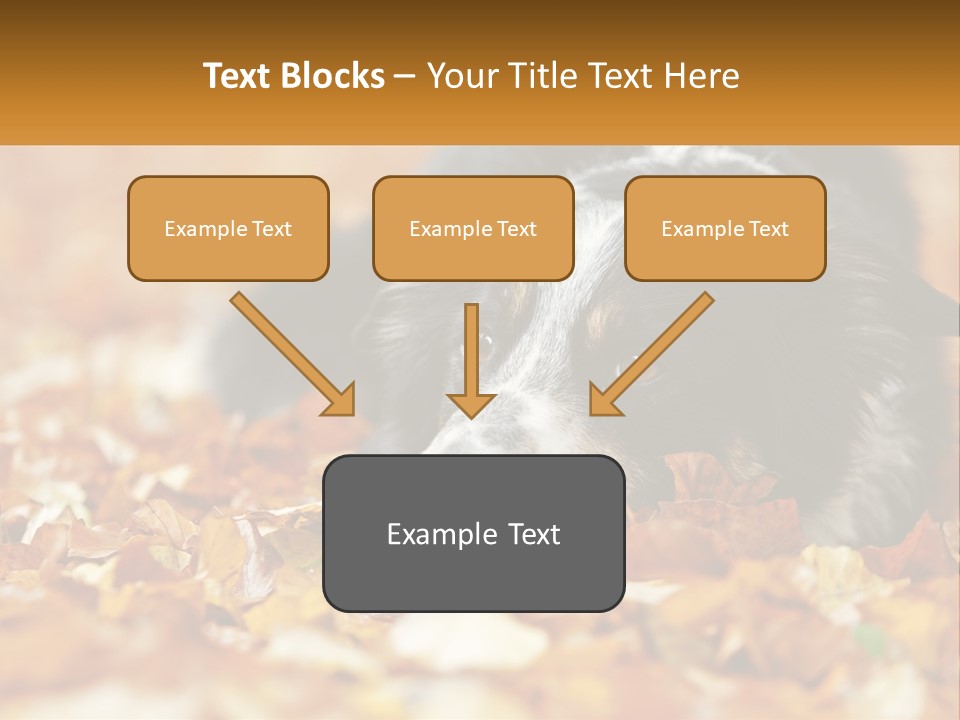 A Dog Laying On Top Of A Pile Of Leaves PowerPoint Template