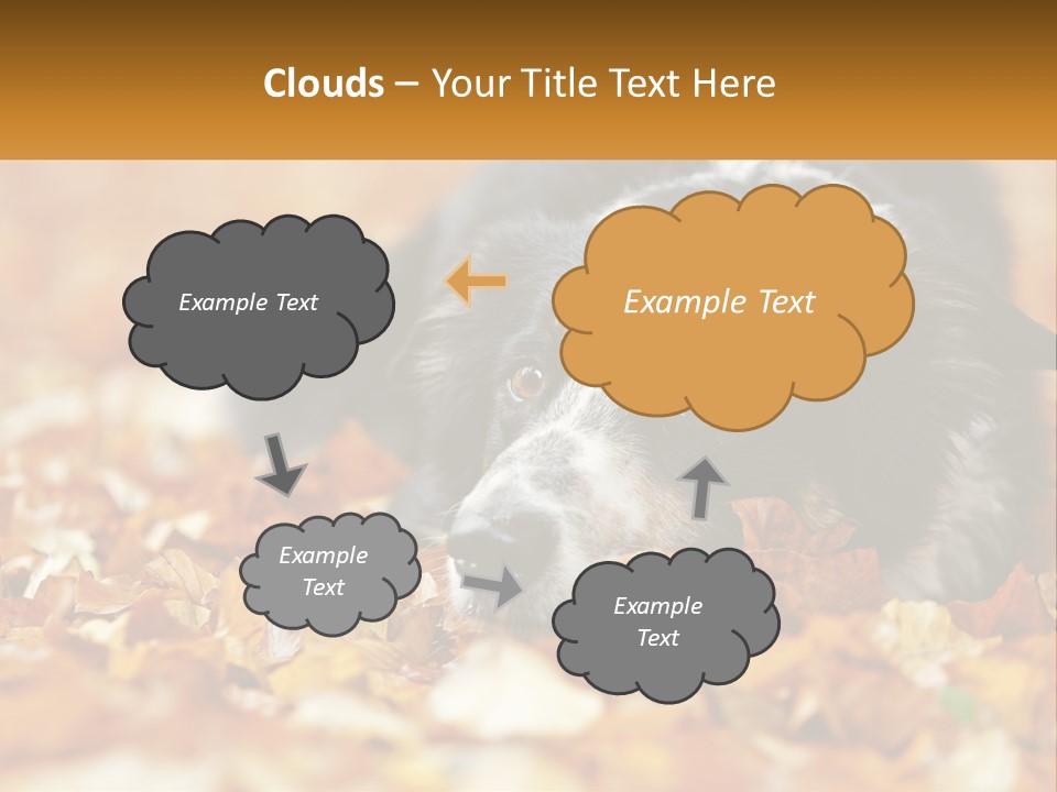 A Dog Laying On Top Of A Pile Of Leaves PowerPoint Template
