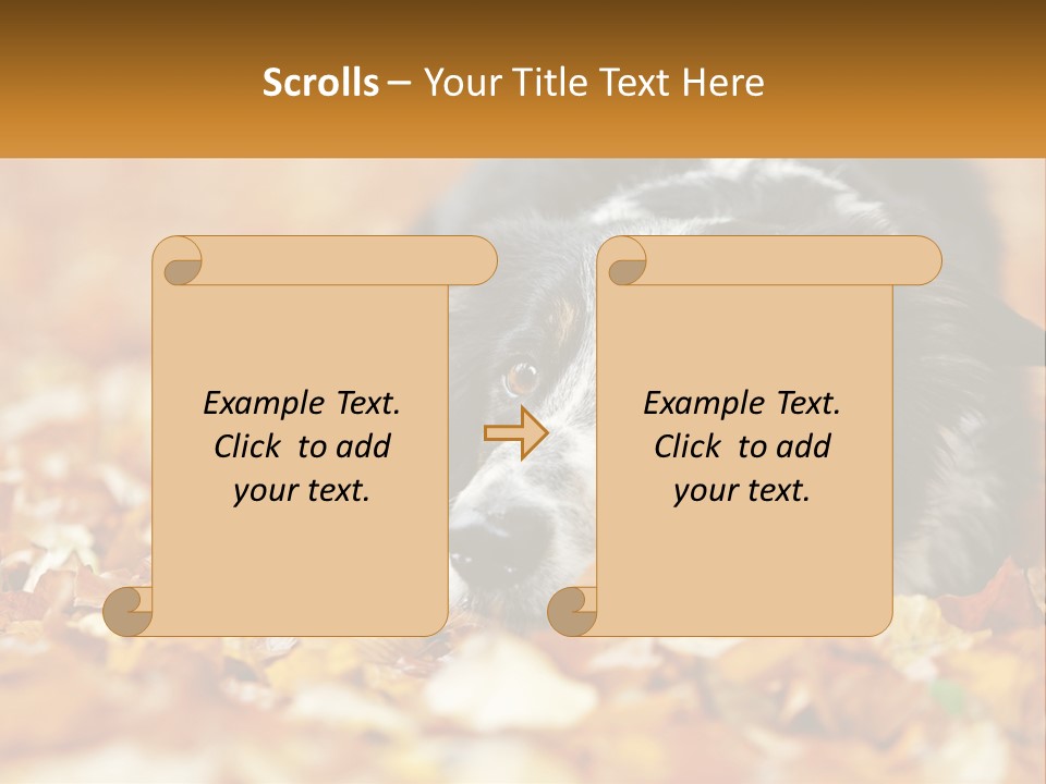 A Dog Laying On Top Of A Pile Of Leaves PowerPoint Template