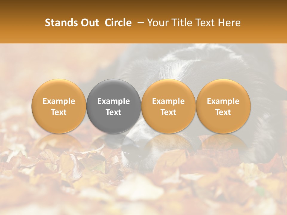 A Dog Laying On Top Of A Pile Of Leaves PowerPoint Template