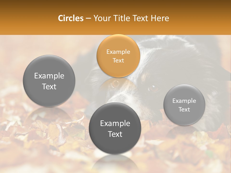 A Dog Laying On Top Of A Pile Of Leaves PowerPoint Template