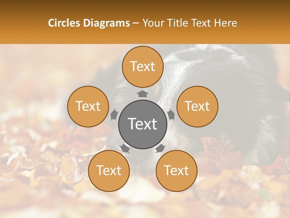 A Dog Laying On Top Of A Pile Of Leaves PowerPoint Template