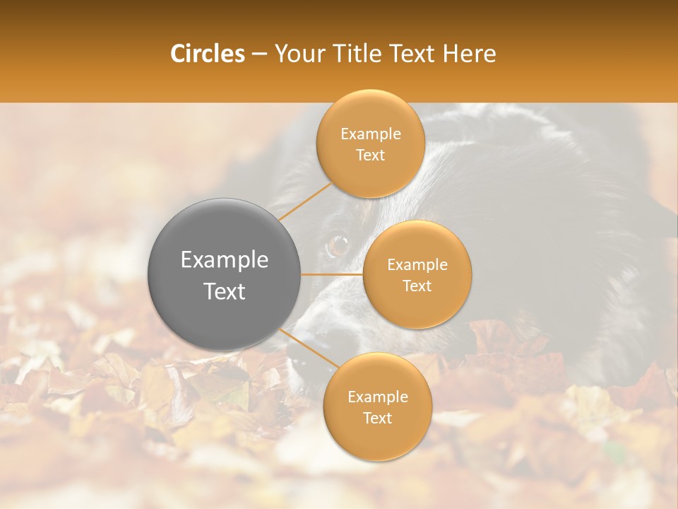 A Dog Laying On Top Of A Pile Of Leaves PowerPoint Template