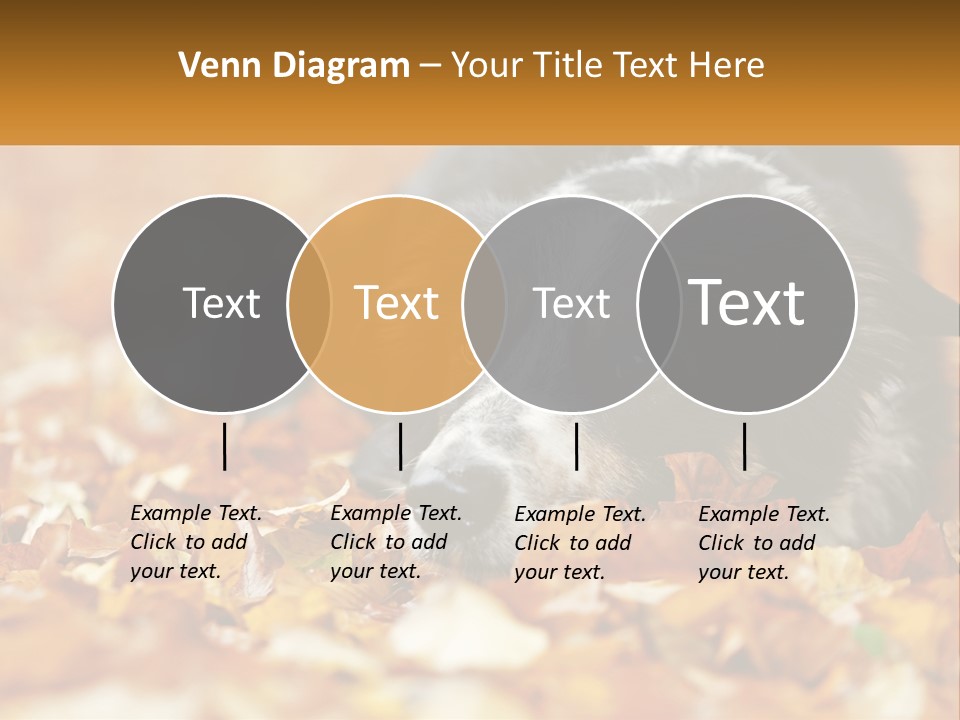 A Dog Laying On Top Of A Pile Of Leaves PowerPoint Template