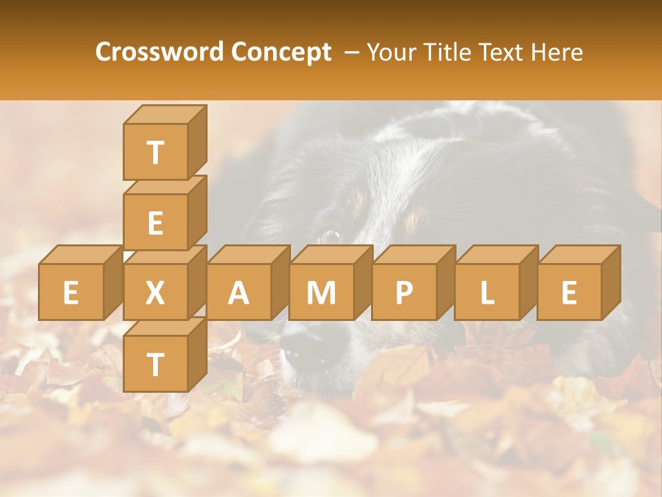 A Dog Laying On Top Of A Pile Of Leaves PowerPoint Template
