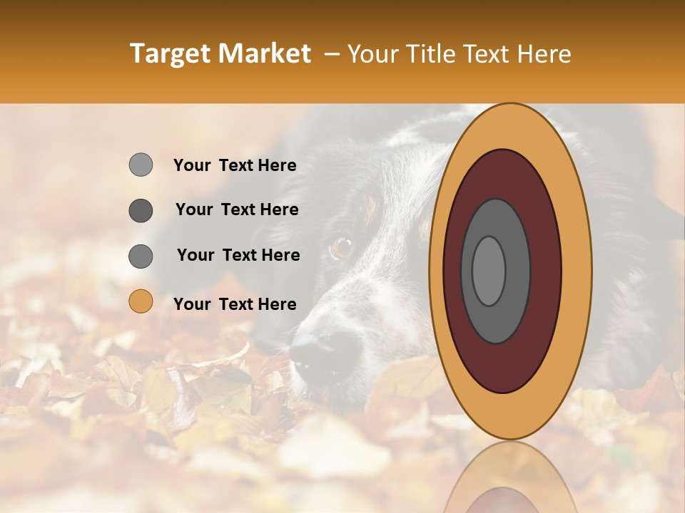 A Dog Laying On Top Of A Pile Of Leaves PowerPoint Template