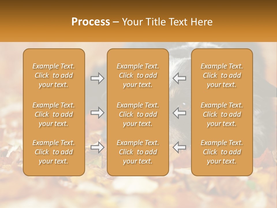 A Dog Laying On Top Of A Pile Of Leaves PowerPoint Template