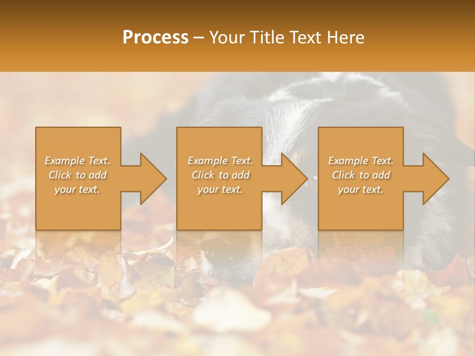 A Dog Laying On Top Of A Pile Of Leaves PowerPoint Template