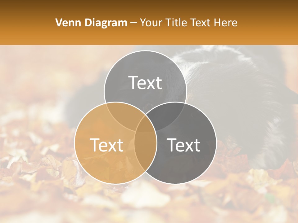 A Dog Laying On Top Of A Pile Of Leaves PowerPoint Template