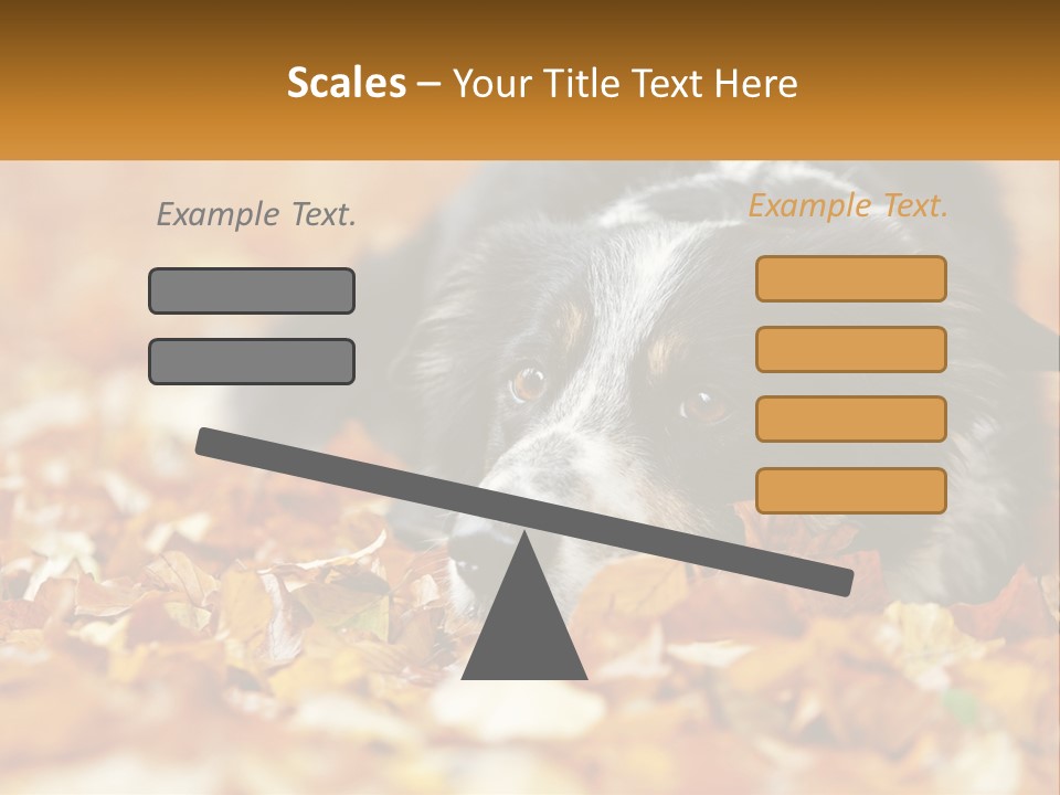 A Dog Laying On Top Of A Pile Of Leaves PowerPoint Template