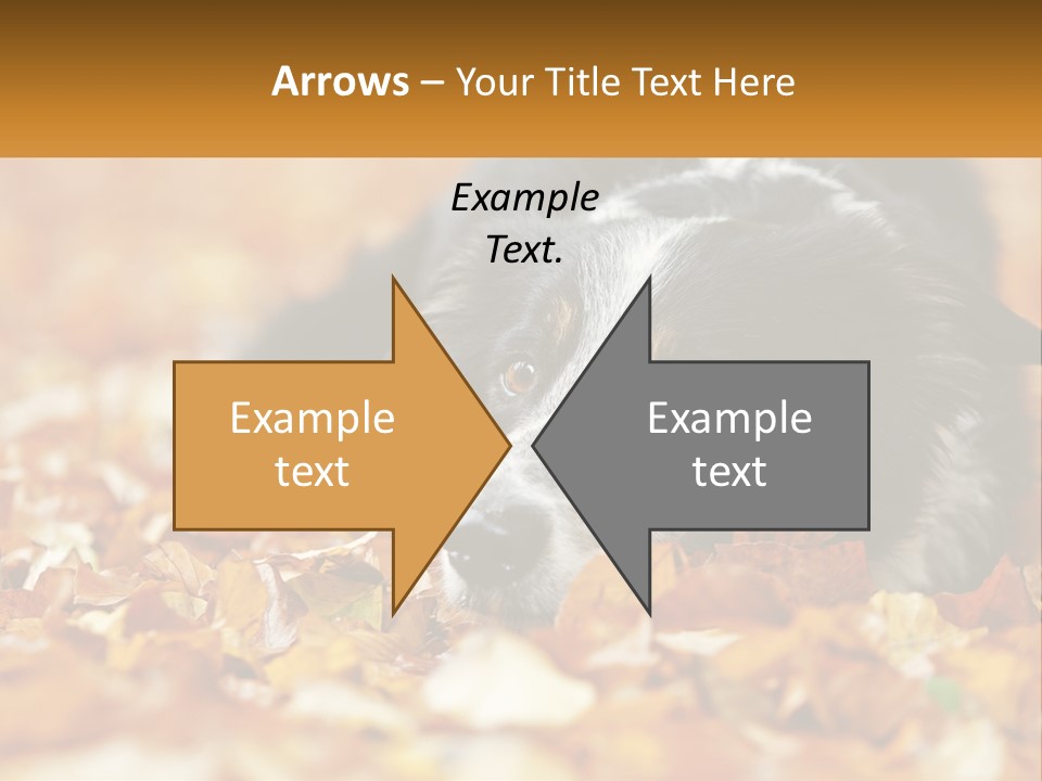A Dog Laying On Top Of A Pile Of Leaves PowerPoint Template