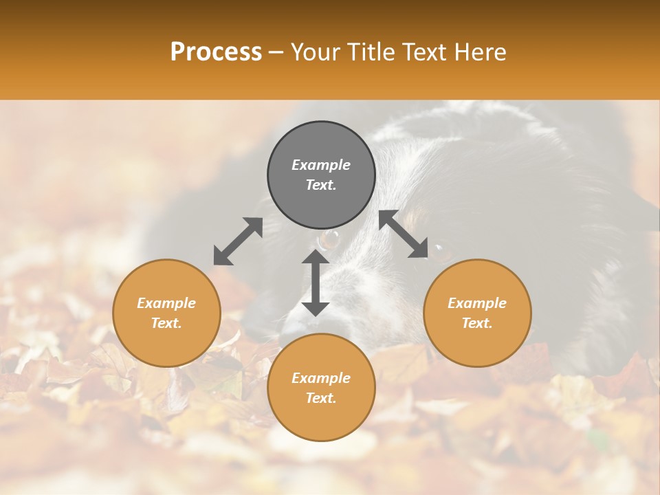 A Dog Laying On Top Of A Pile Of Leaves PowerPoint Template