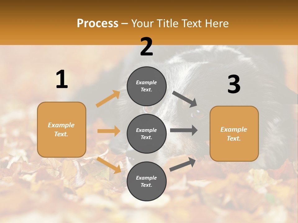 A Dog Laying On Top Of A Pile Of Leaves PowerPoint Template