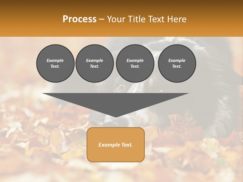 A Dog Laying On Top Of A Pile Of Leaves PowerPoint Template