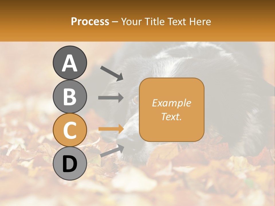 A Dog Laying On Top Of A Pile Of Leaves PowerPoint Template