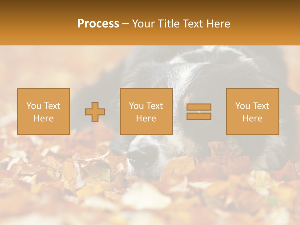 A Dog Laying On Top Of A Pile Of Leaves PowerPoint Template