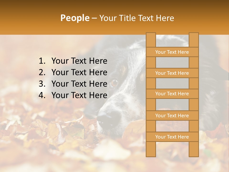 A Dog Laying On Top Of A Pile Of Leaves PowerPoint Template