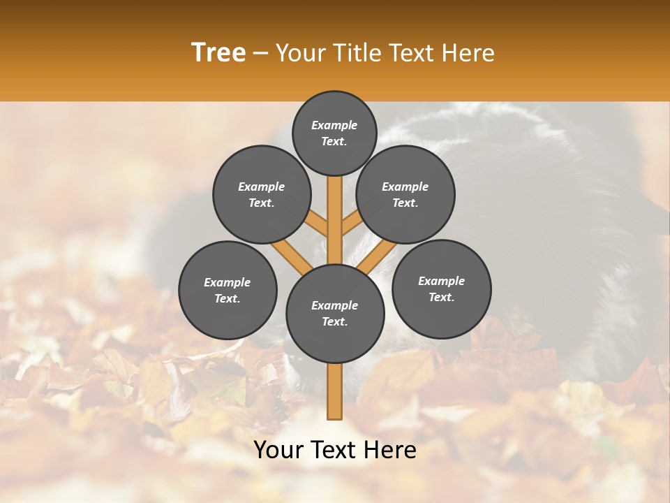 A Dog Laying On Top Of A Pile Of Leaves PowerPoint Template