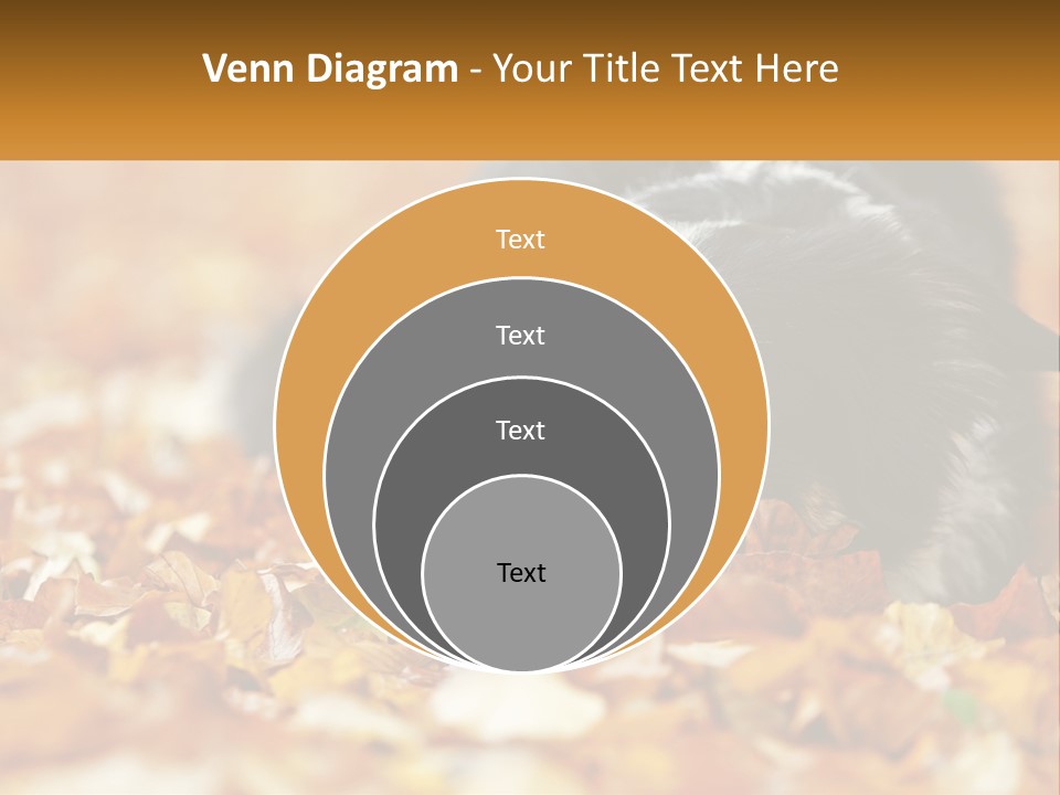 A Dog Laying On Top Of A Pile Of Leaves PowerPoint Template
