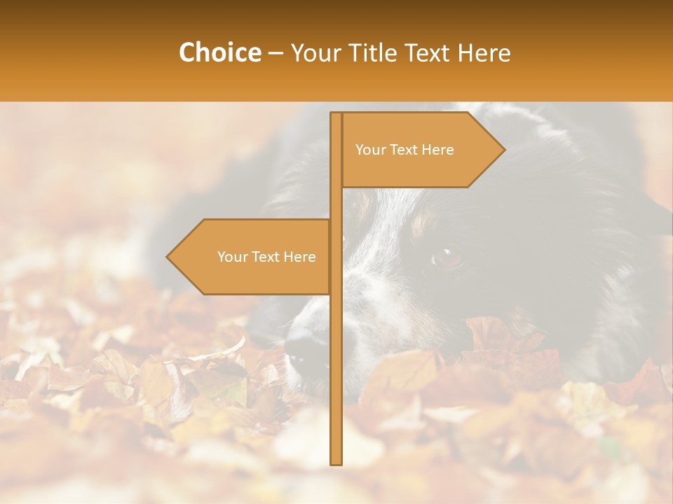 A Dog Laying On Top Of A Pile Of Leaves PowerPoint Template