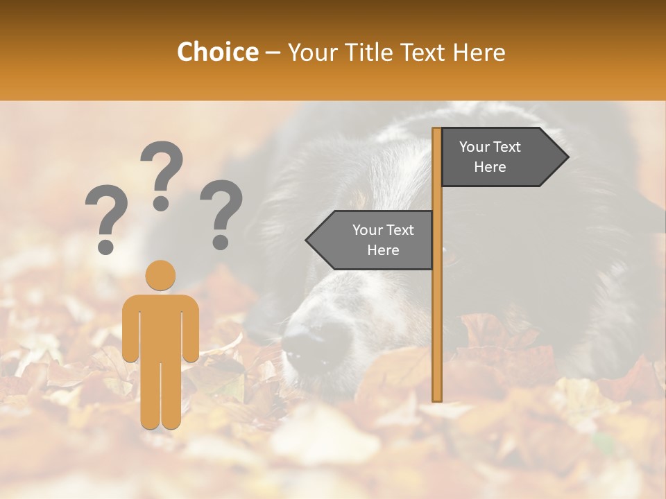 A Dog Laying On Top Of A Pile Of Leaves PowerPoint Template