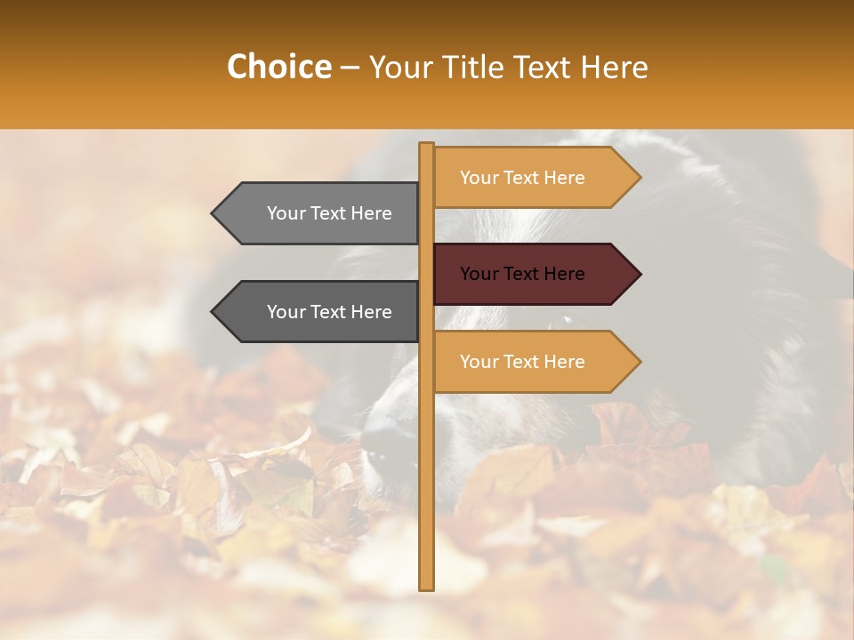 A Dog Laying On Top Of A Pile Of Leaves PowerPoint Template