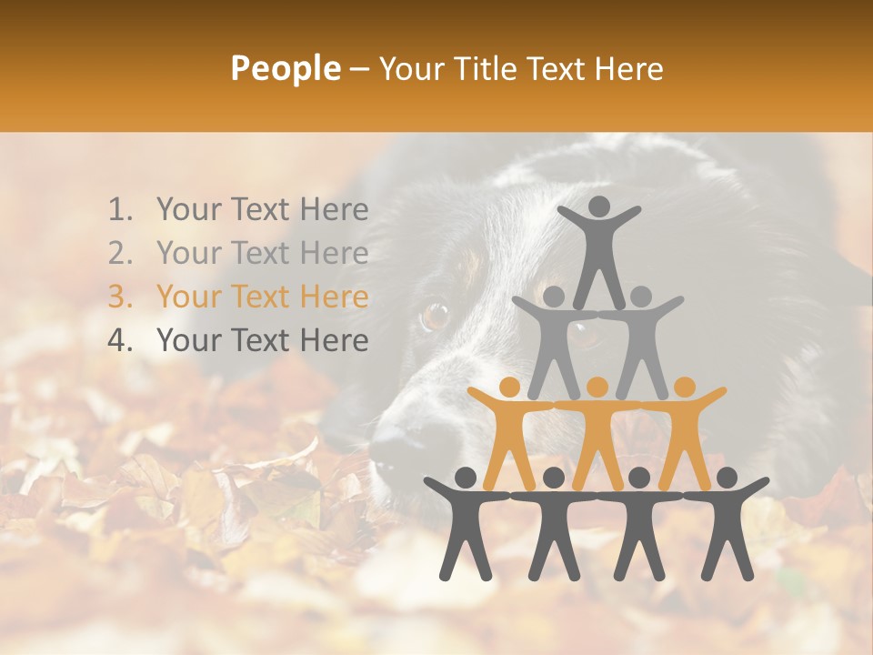 A Dog Laying On Top Of A Pile Of Leaves PowerPoint Template