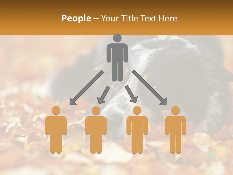 A Dog Laying On Top Of A Pile Of Leaves PowerPoint Template