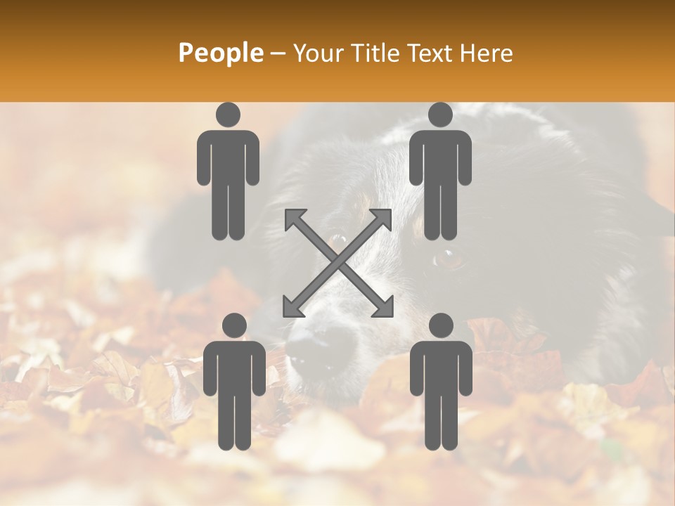 A Dog Laying On Top Of A Pile Of Leaves PowerPoint Template