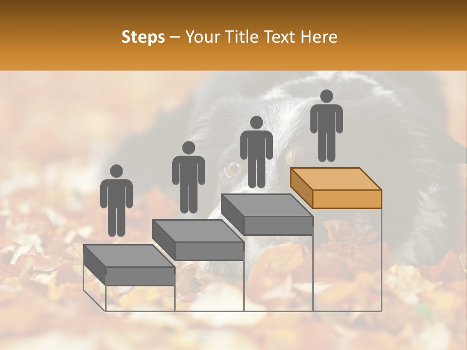 A Dog Laying On Top Of A Pile Of Leaves PowerPoint Template