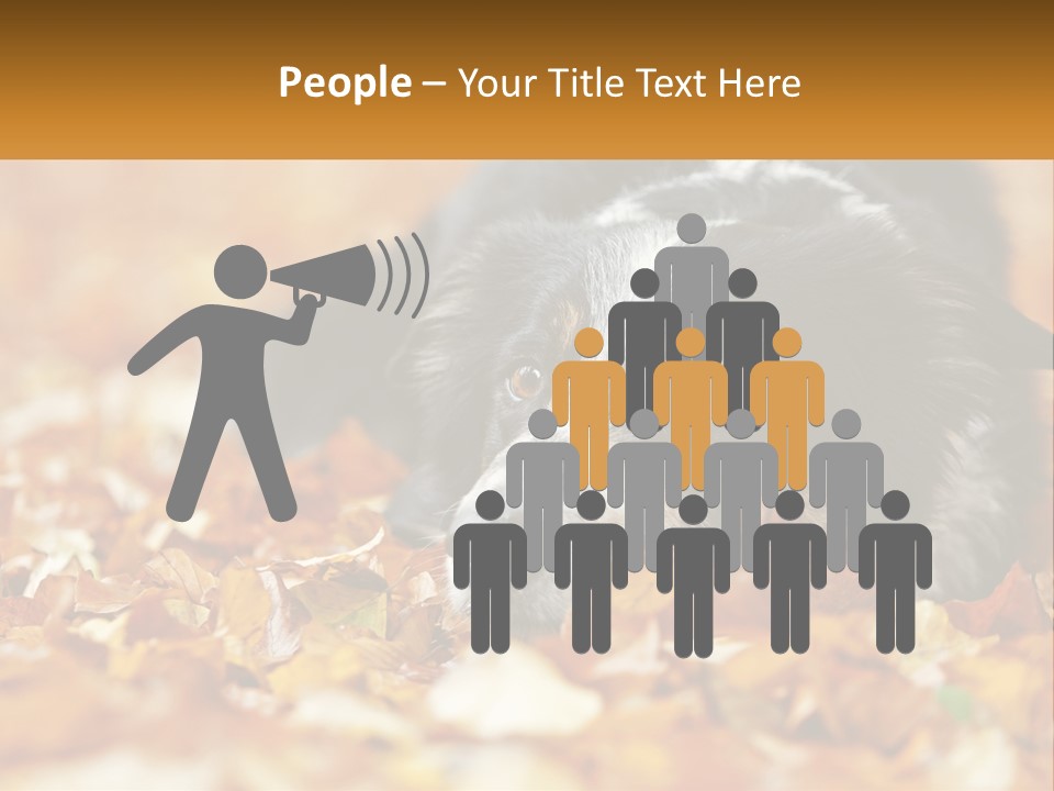 A Dog Laying On Top Of A Pile Of Leaves PowerPoint Template