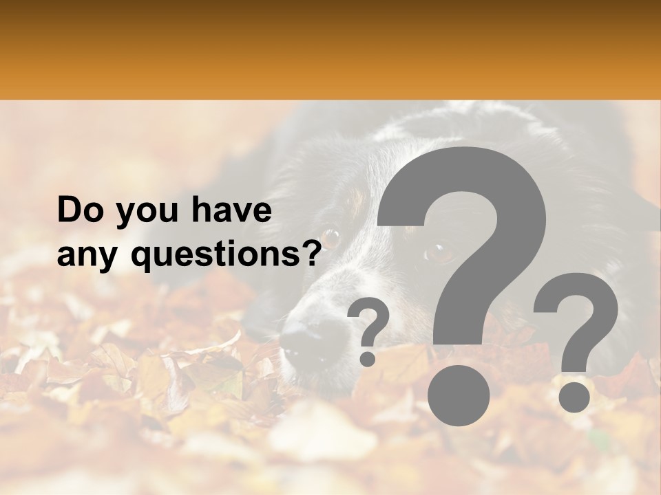 A Dog Laying On Top Of A Pile Of Leaves PowerPoint Template
