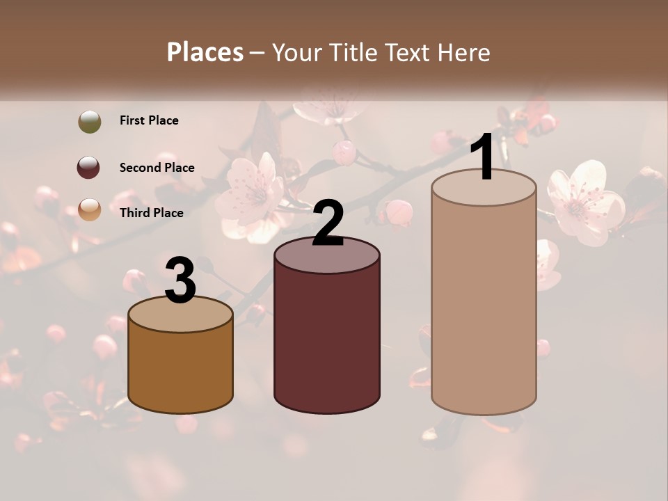 A Branch Of A Flowering Tree With Pink Flowers PowerPoint Template