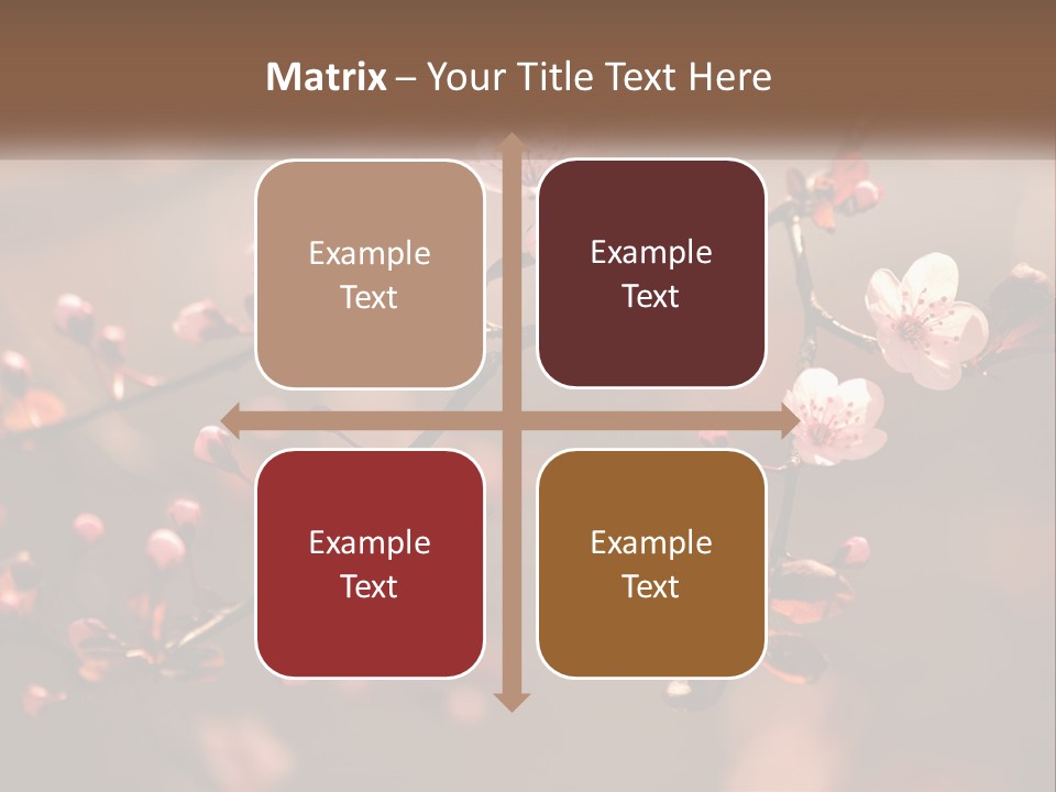 A Branch Of A Flowering Tree With Pink Flowers PowerPoint Template