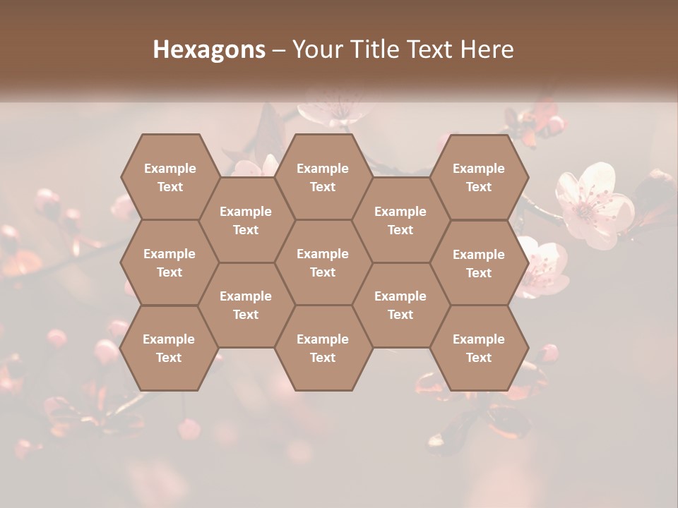 A Branch Of A Flowering Tree With Pink Flowers PowerPoint Template