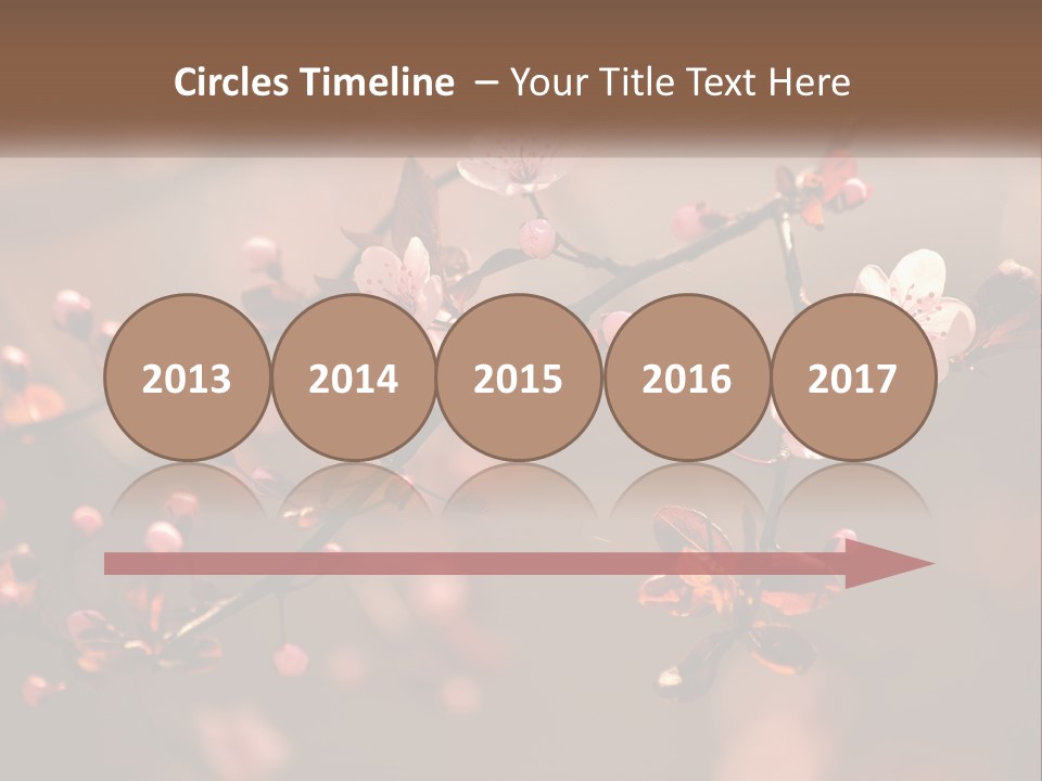 A Branch Of A Flowering Tree With Pink Flowers PowerPoint Template