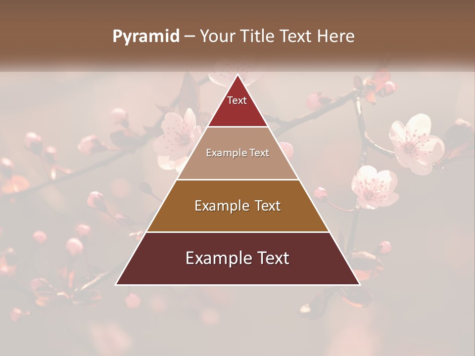 A Branch Of A Flowering Tree With Pink Flowers PowerPoint Template