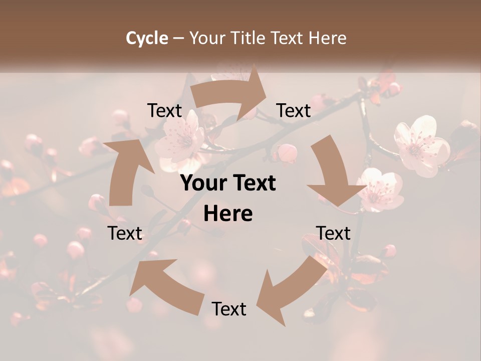 A Branch Of A Flowering Tree With Pink Flowers PowerPoint Template