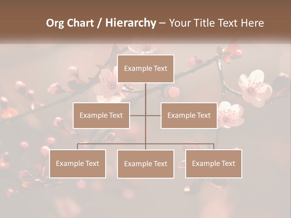 A Branch Of A Flowering Tree With Pink Flowers PowerPoint Template