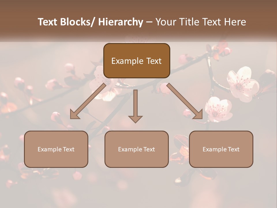 A Branch Of A Flowering Tree With Pink Flowers PowerPoint Template